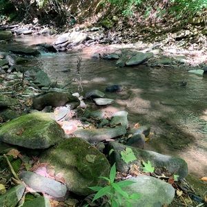 Meet your Posher, Nathan